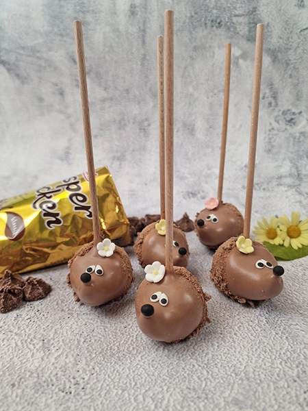 Igel Cakepops mit Knusperflocken
